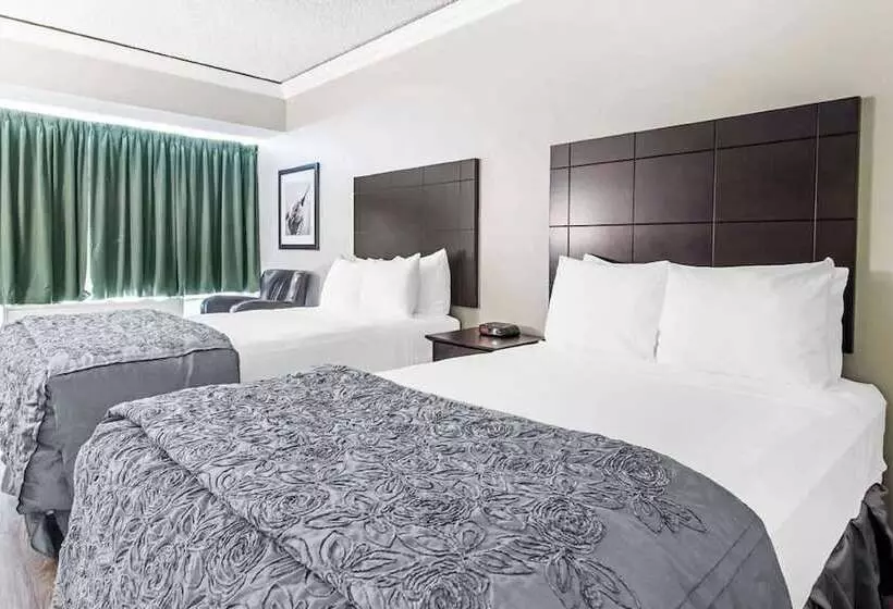 ２ダブルベッドのスタンダードルーム, Travelodge By Wyndham Troisrivieres