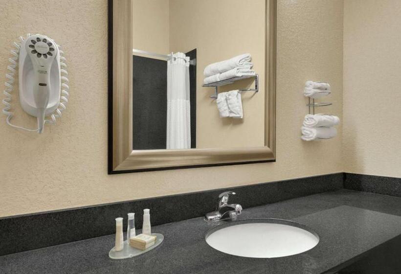 带大床的标准间, Baymont By Wyndham Marrero