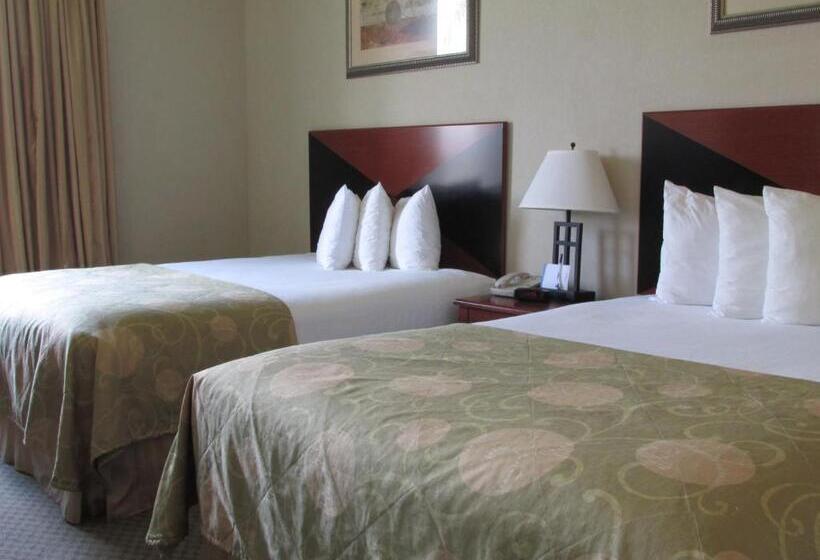 标准间, Baymont By Wyndham Marrero