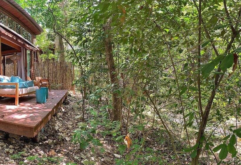 سوییت, Casa Bonita Tropical Lodge