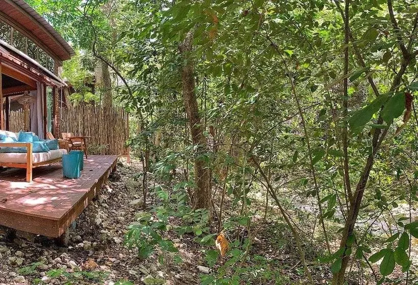 سوییت, Casa Bonita Tropical Lodge