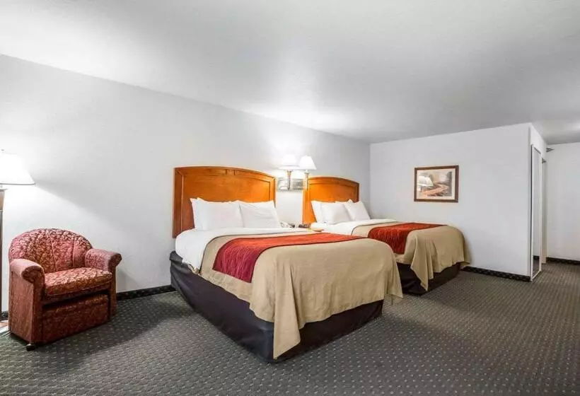スタンダードルーム, Comfort Inn & Suites