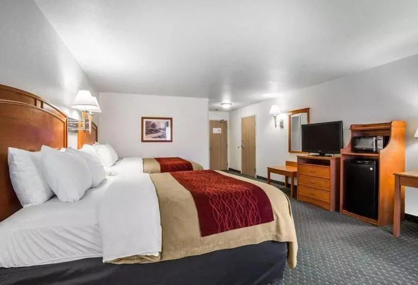 スタンダードルーム, Comfort Inn & Suites