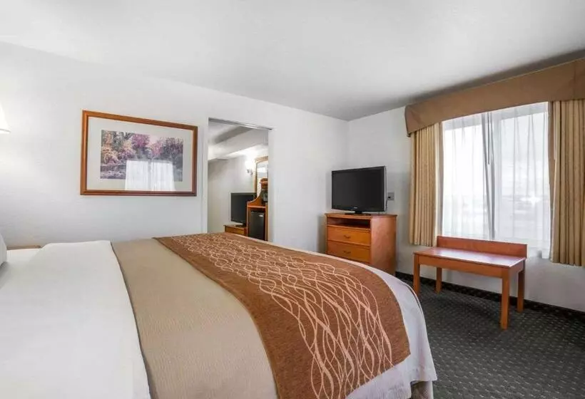 キングサイズベッドのスイートルーム, Comfort Inn & Suites
