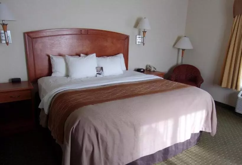 キングサイズベッドのスタンダードルーム, Comfort Inn & Suites