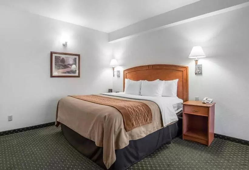キングサイズベッドのスタンダードルーム, Comfort Inn & Suites