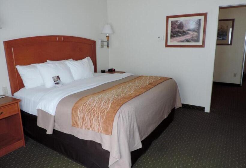 غرفة قياسية سرير كينج, Comfort Inn & Suites