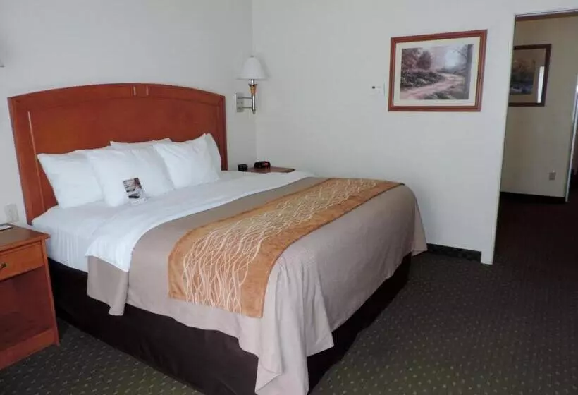 キングサイズベッドのスタンダードルーム, Comfort Inn & Suites