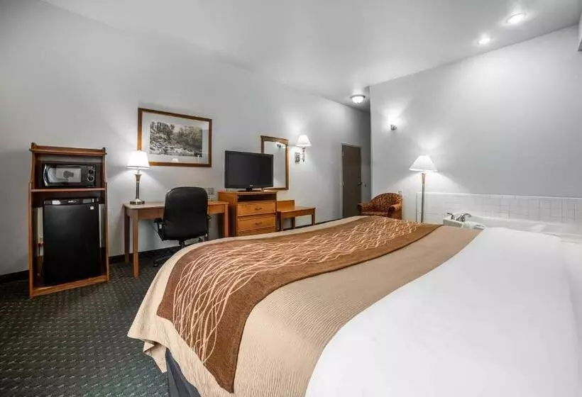 キングサイズベッドのスタンダードルーム, Comfort Inn & Suites