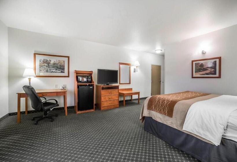 Номер Стандарт Кровать Кинг Адаптированный для Инвалидов, Comfort Inn & Suites