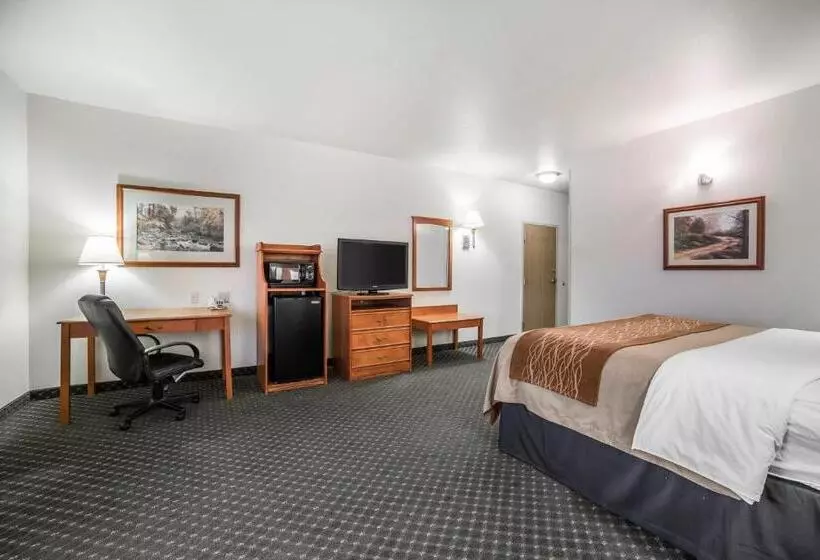 身障者適用キングサイズベッドルーム, Comfort Inn & Suites