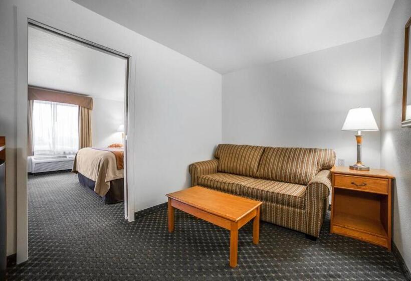 غرفة قياسية سرير كينج لذوى الإحتياجات الخاصة, Comfort Inn & Suites