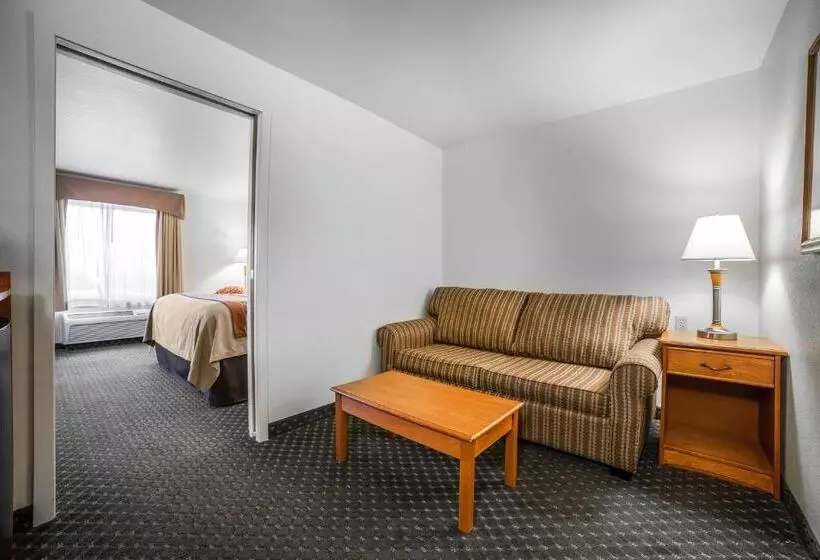 身障者適用キングサイズベッドルーム, Comfort Inn & Suites