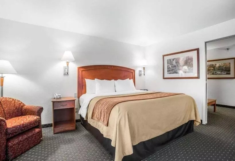 身障者適用キングサイズベッドルーム, Comfort Inn & Suites