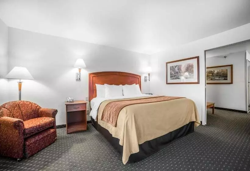 身障者適用キングサイズベッドルーム, Comfort Inn & Suites
