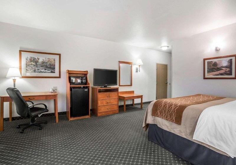 غرفة قياسية, Comfort Inn & Suites