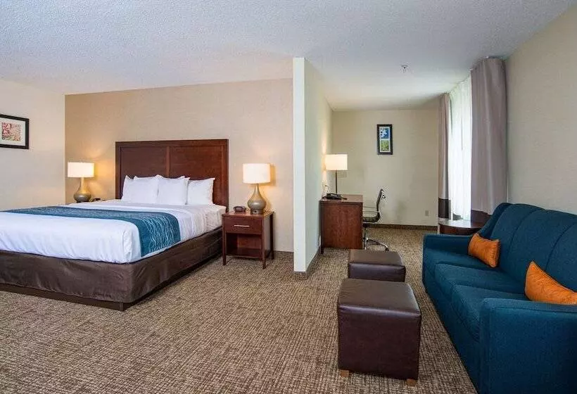 Standard-huone, Comfort Inn Naugatuck Shelton, Ct