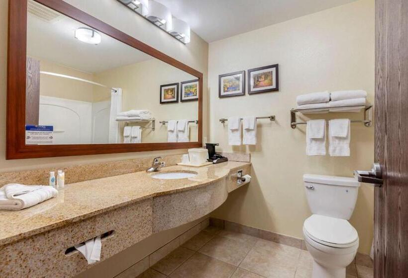 Люкс Кровать Кинг, Comfort Inn Ploverstevens Point