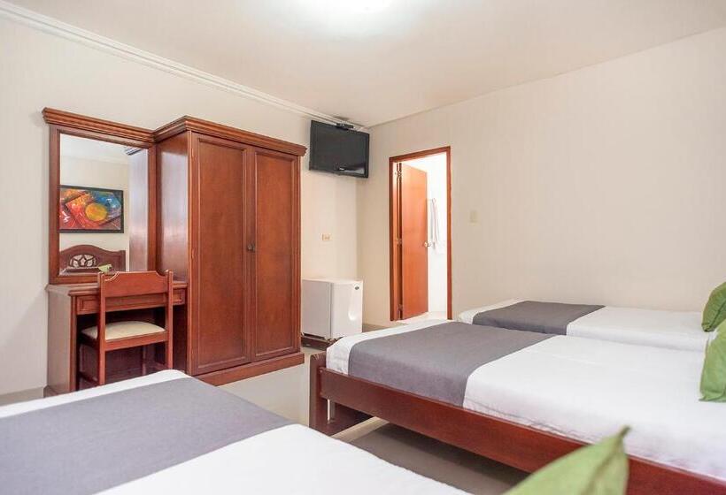 חדר סטנדרט לארבעה, Costa Linda