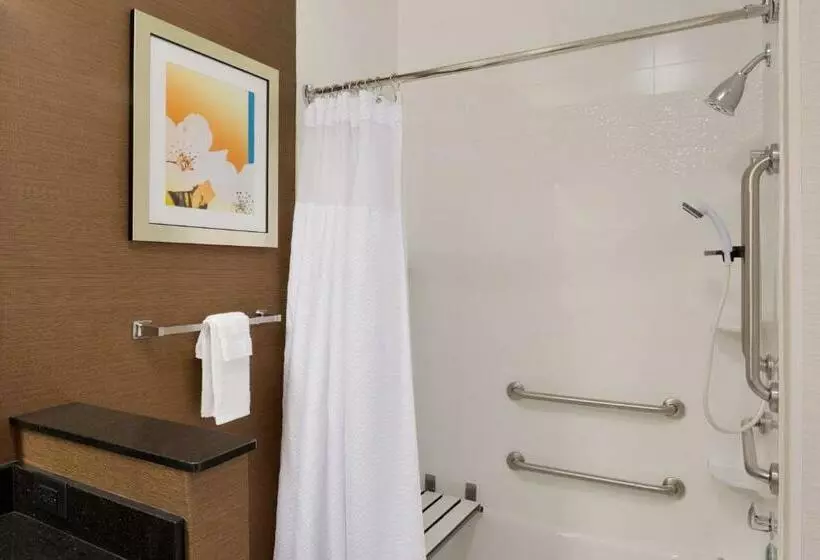 キングサイズベッドのスタンダードルーム, Fairfield Inn & Suites Youngstown Boardman Poland