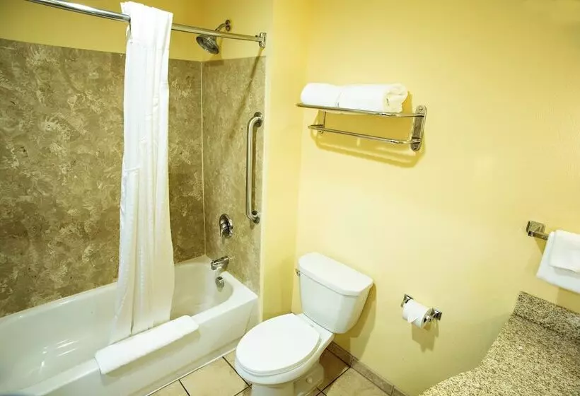 ２ダブルベッドのスタンダードルーム, Holiday Inn Express Harrisburg West, An Ihg