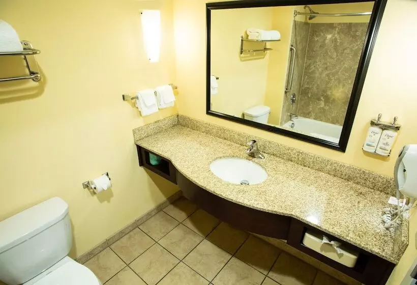 ２ダブルベッドのスタンダードルーム, Holiday Inn Express Harrisburg West, An Ihg