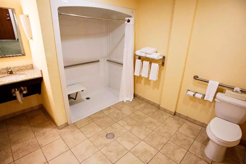 キングサイズベッドのスタンダードルーム, Holiday Inn Express Harrisburg West, An Ihg