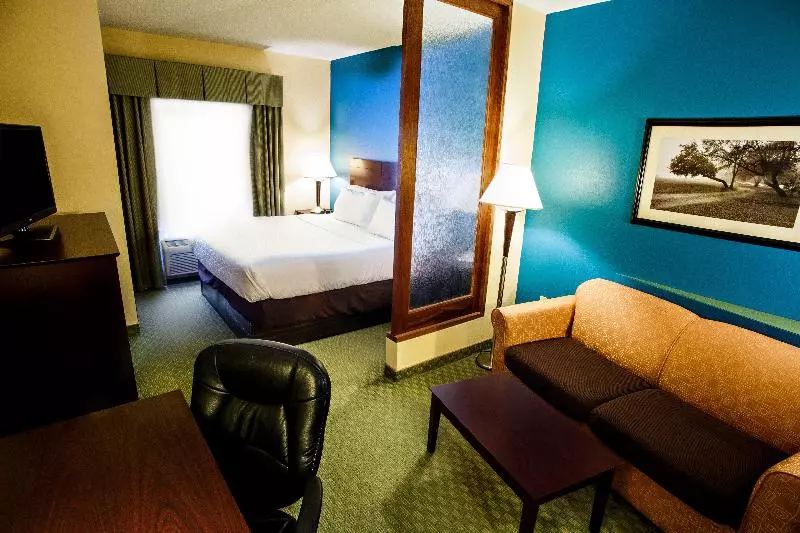 キングサイズベッドのスタンダードルーム, Holiday Inn Express Harrisburg West, An Ihg
