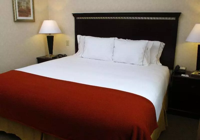 キングサイズベッドのスタンダードルーム, Holiday Inn Express Salt Lake City South   Midvale, An Ihg