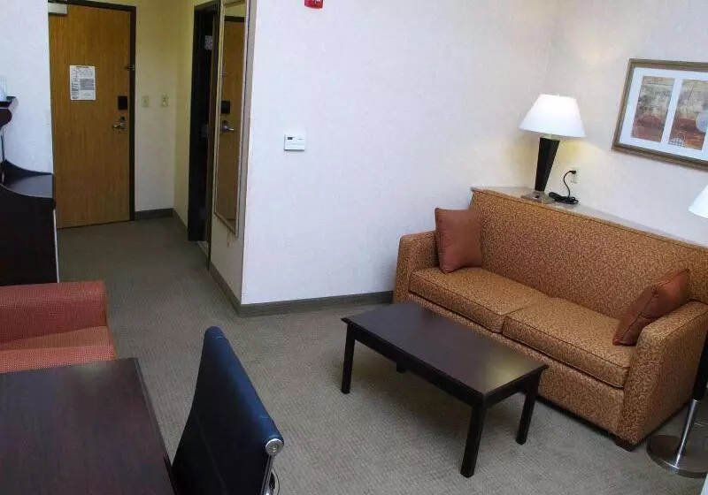 キングサイズベッドのスタンダードルーム, Holiday Inn Express Salt Lake City South   Midvale, An Ihg