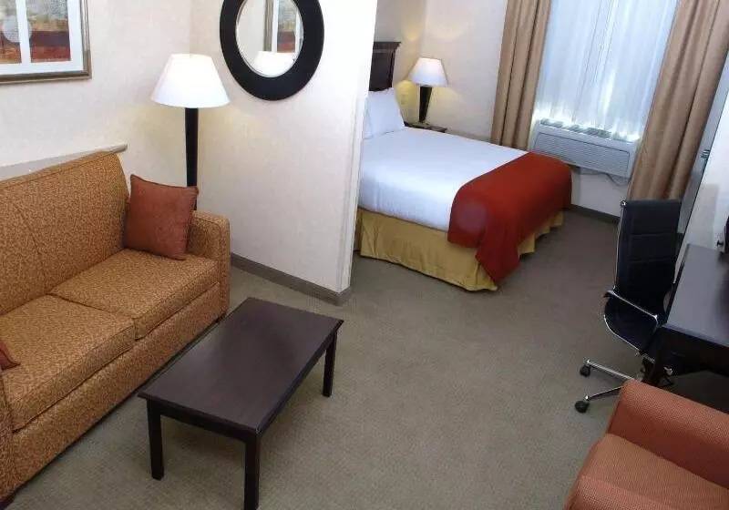 身障者適用キングサイズベッドルーム, Holiday Inn Express Salt Lake City South   Midvale, An Ihg