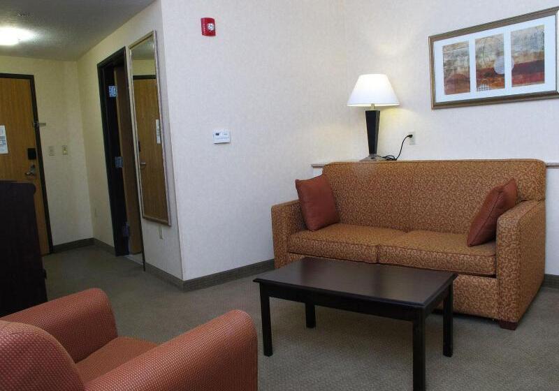 חדר אקזקיוטיב חדר קינג, Holiday Inn Express Salt Lake City South   Midvale, An Ihg