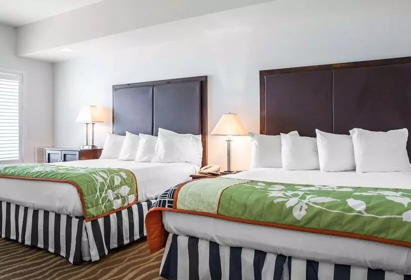 スイート, Island Inn & Suites, Ascend Hotel Collection