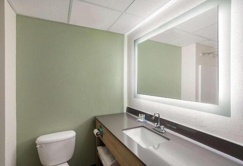 غرفة قياسية سرير كينج, Quality Inn & Suites