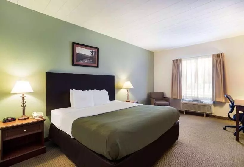 キングサイズベッドのスタンダードルーム, Quality Inn & Suites Monterey I 40