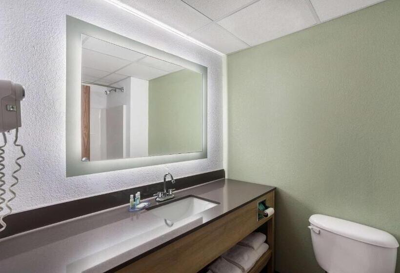 스위트 킹사이즈 침대, Quality Inn & Suites