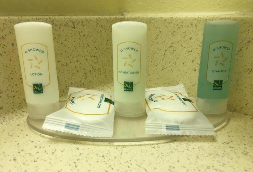 带大床的标准间, Quality Inn & Suites Ridgeland