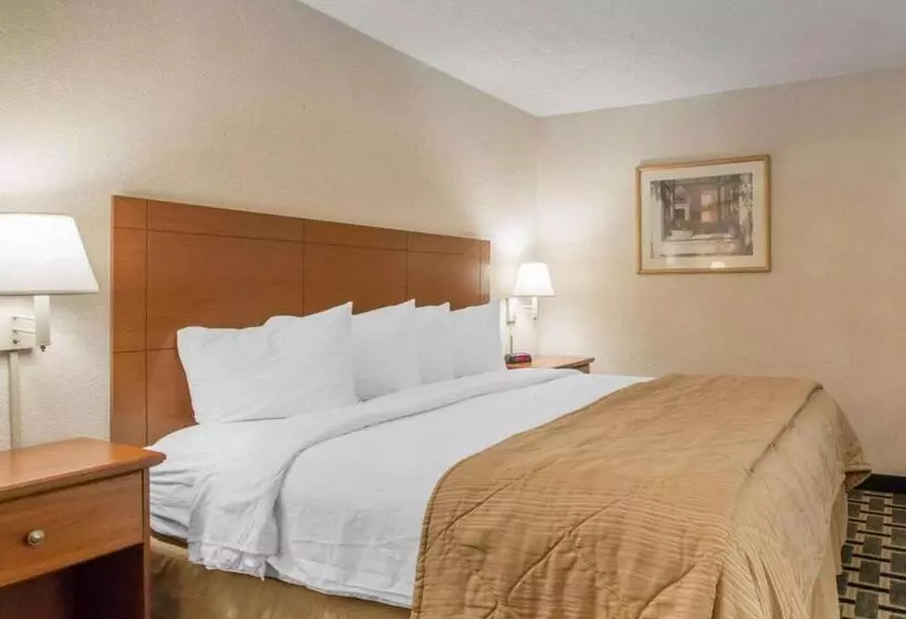 キングサイズベッドのスタンダードルーム, Quality Inn & Suites Ridgeland