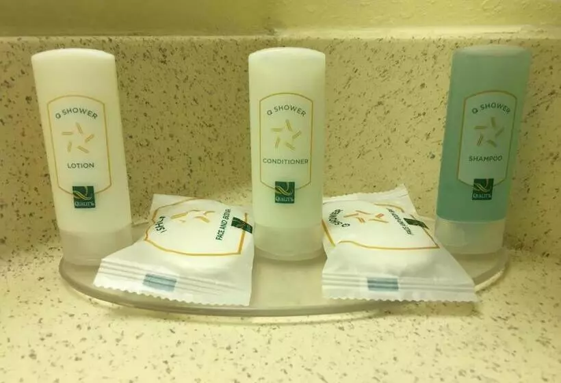 身障者適用キングサイズベッドルーム, Quality Inn & Suites Ridgeland