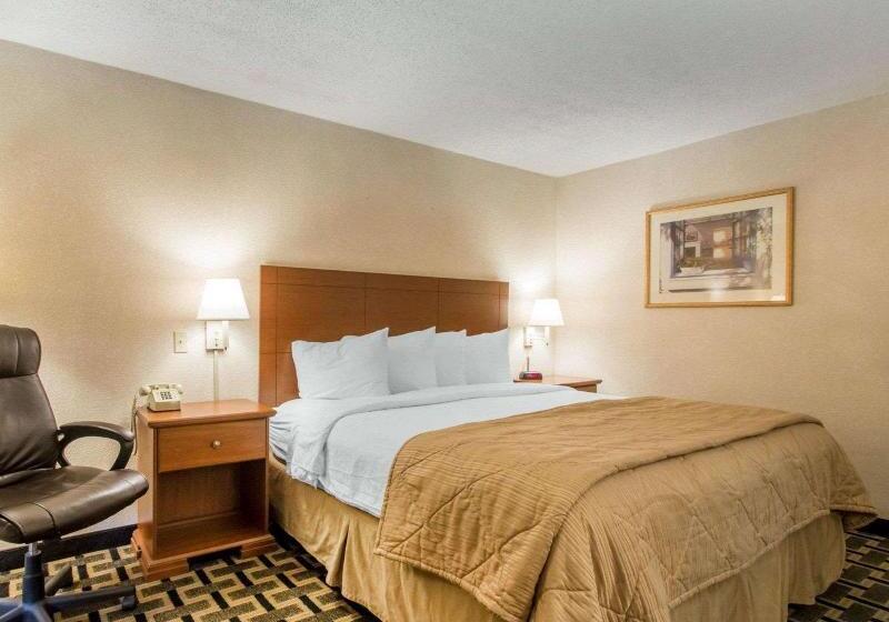 带大床的标准间, Quality Inn & Suites Ridgeland