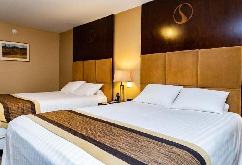 غرفة قياسية, Skky