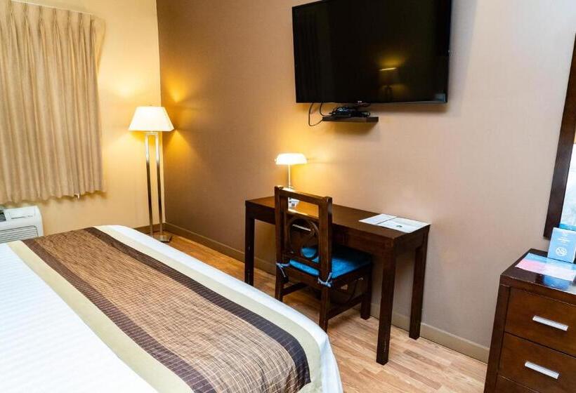 غرفة قياسية سرير كينج, Skky