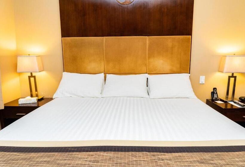 غرفة قياسية سرير كينج, Skky