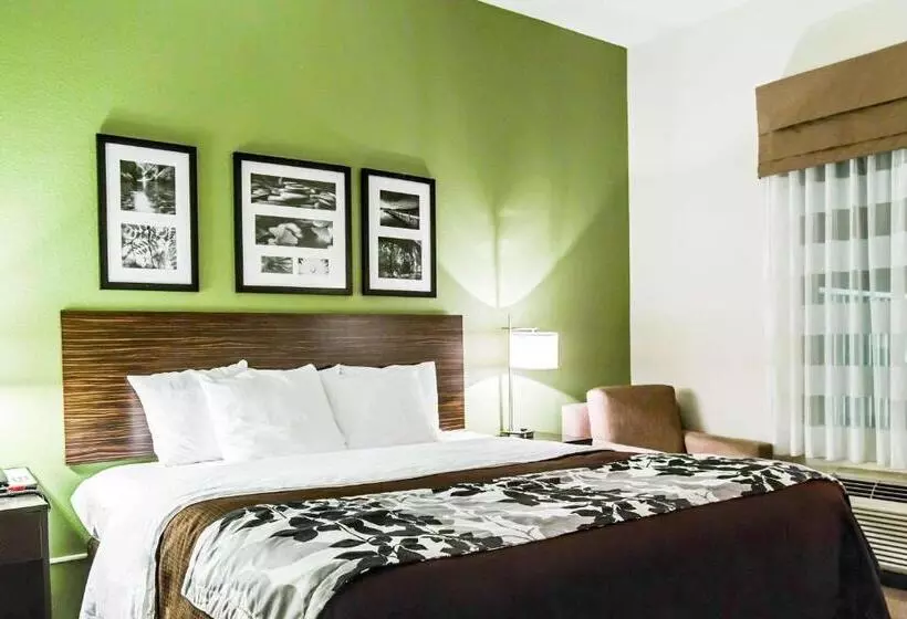 キングサイズベッドのスタンダードルーム, Sleep Inn & Suites Marion  Military Institute