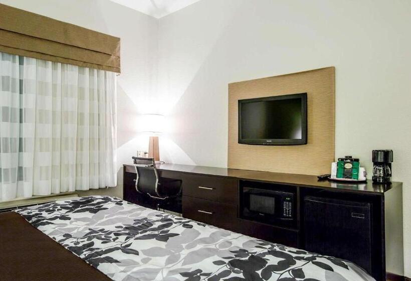 חדר סטנדרט עם מיטת קינג, Sleep Inn & Suites Marion  Military Institute