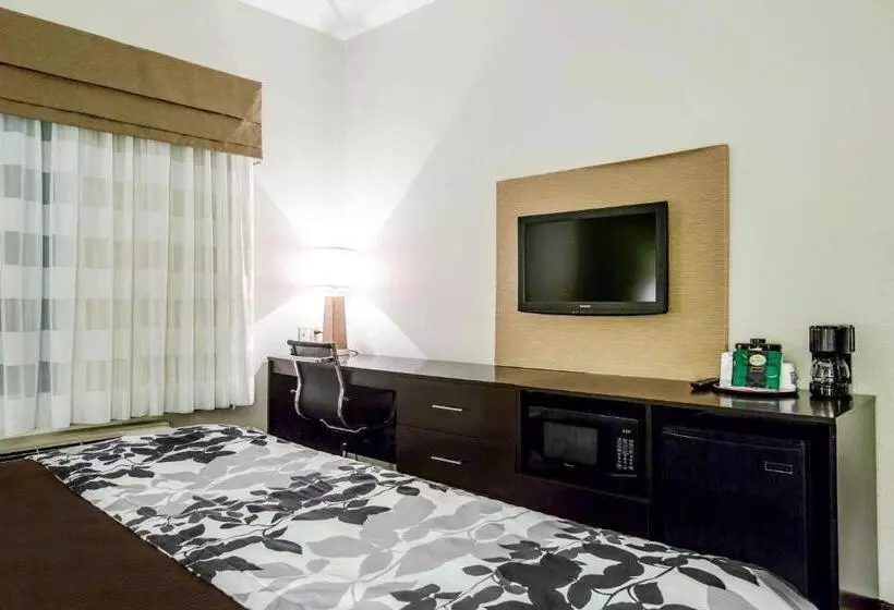 キングサイズベッドのスタンダードルーム, Sleep Inn & Suites Marion  Military Institute