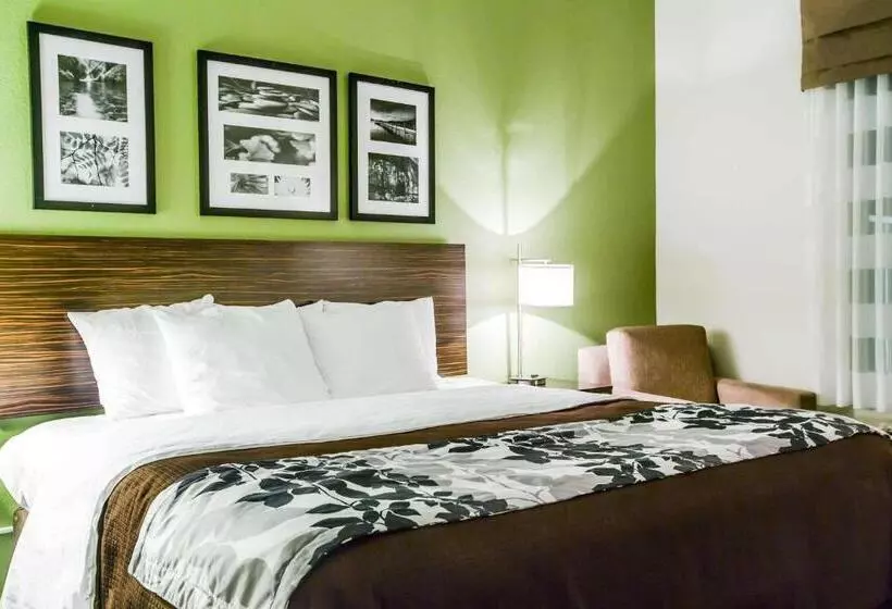 キングサイズベッドのスタンダードルーム, Sleep Inn & Suites Marion  Military Institute