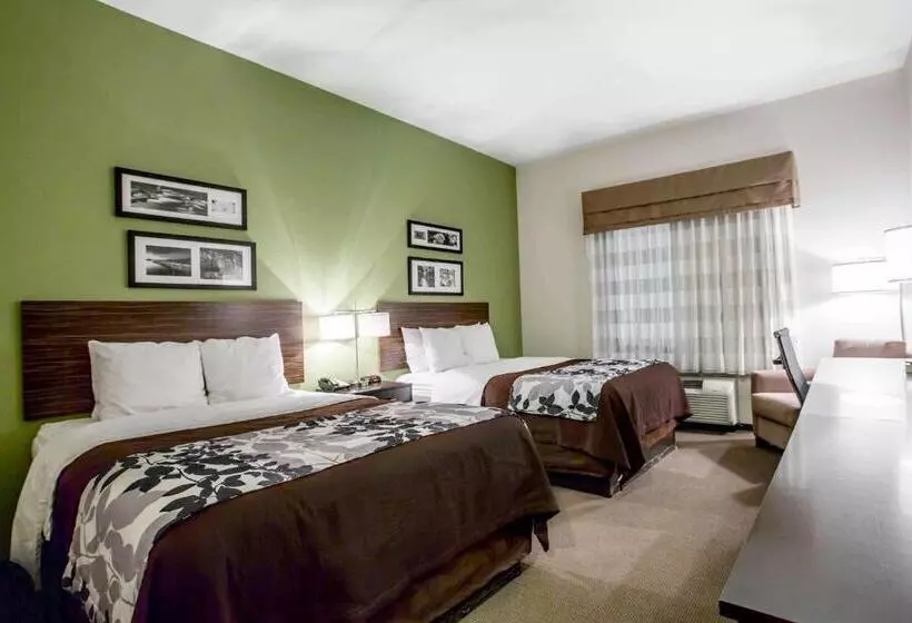 スタンダードルーム, Sleep Inn & Suites Marion  Military Institute