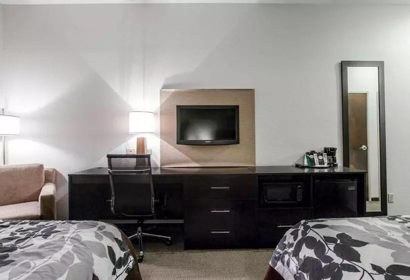 スタンダードルーム, Sleep Inn & Suites Marion  Military Institute