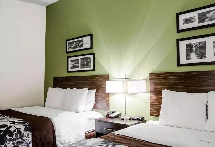 スタンダードルーム, Sleep Inn & Suites Marion  Military Institute